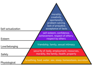 800px-Maslow's_Hierarchy_of_Needs